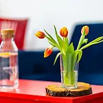 Apartment Poludniowy
