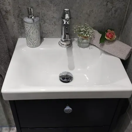 Poludniowy Apartment Ruda Slaska