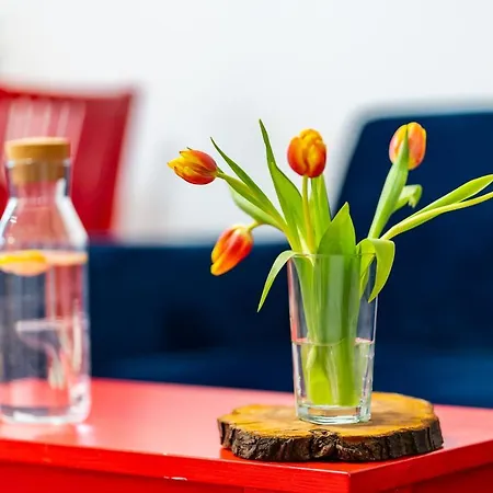 Apartment Poludniowy